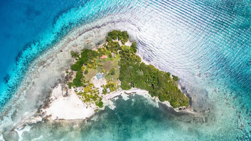 listing image with ID 73644