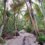 listing image thumbnail with ID 73308