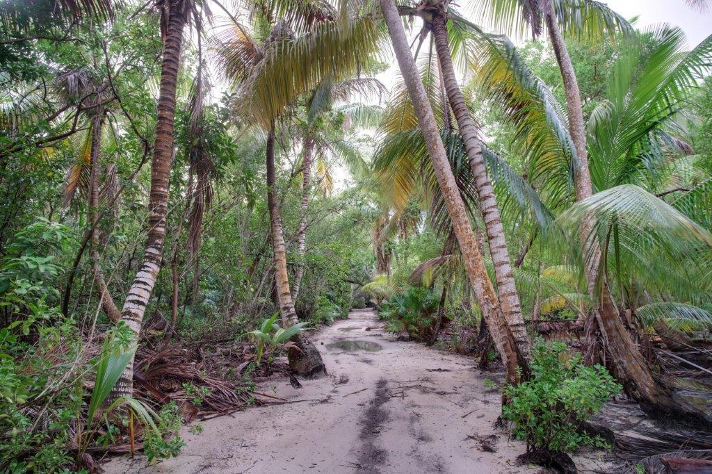 listing image with ID 73308