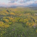 listing image thumbnail with ID 73824