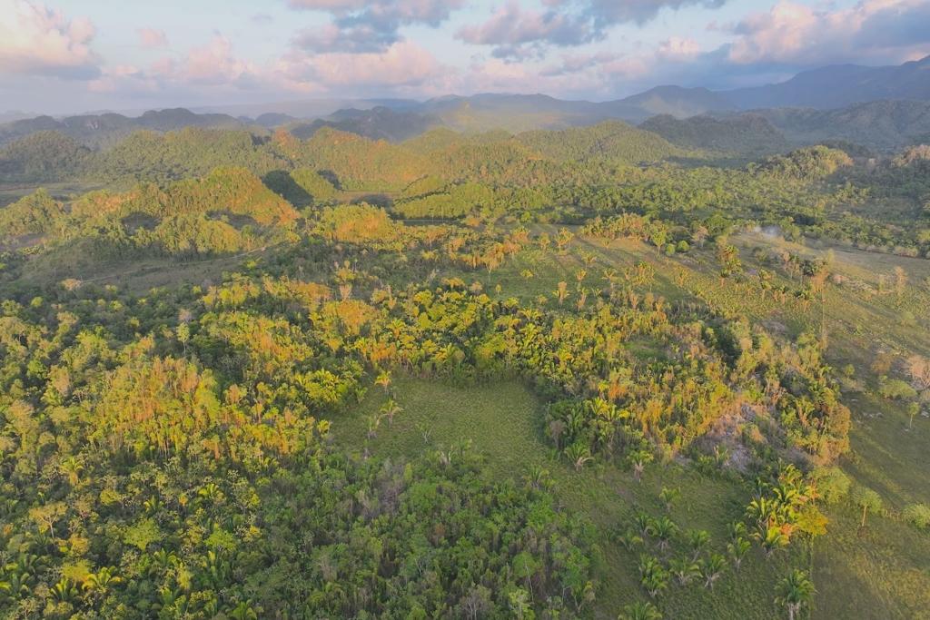 listing image with ID 73824