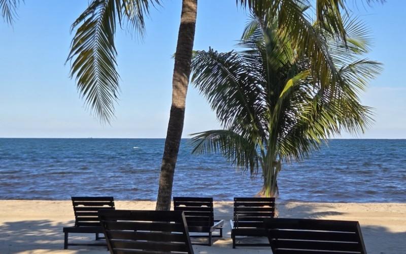 listing image with ID 73813