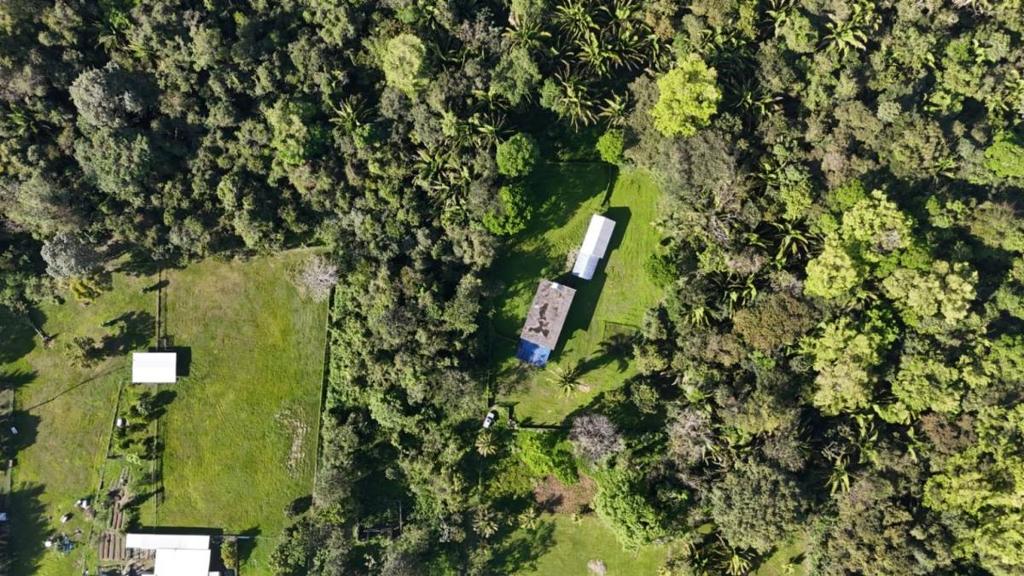 listing image with ID 72987