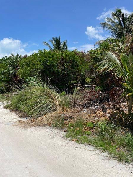 listing image with ID 73027