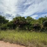 listing image thumbnail with ID 73212