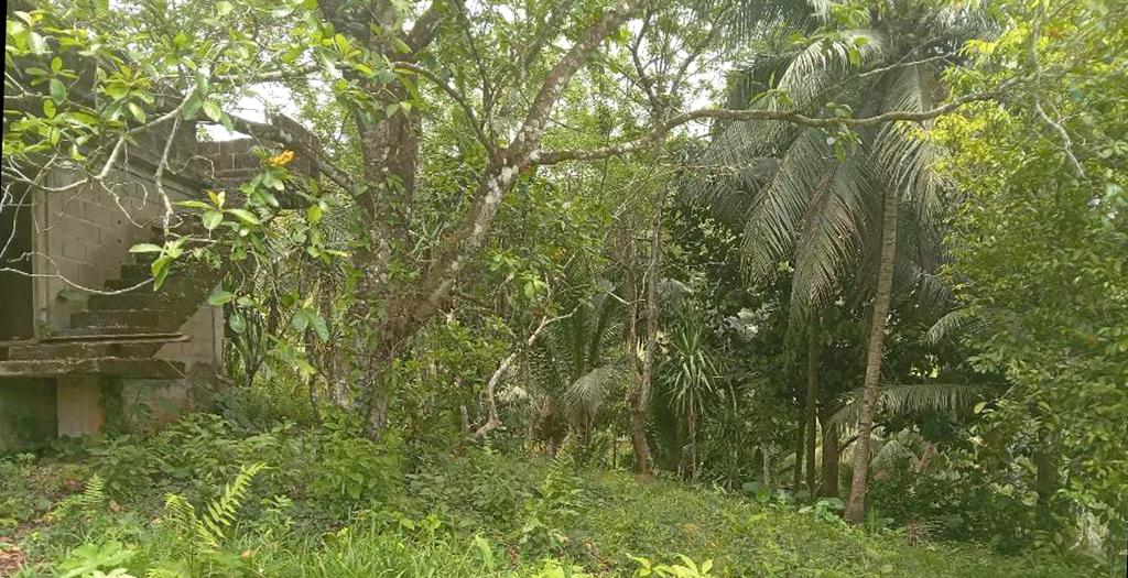 listing image with ID 73339