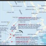 listing image thumbnail with ID 74050