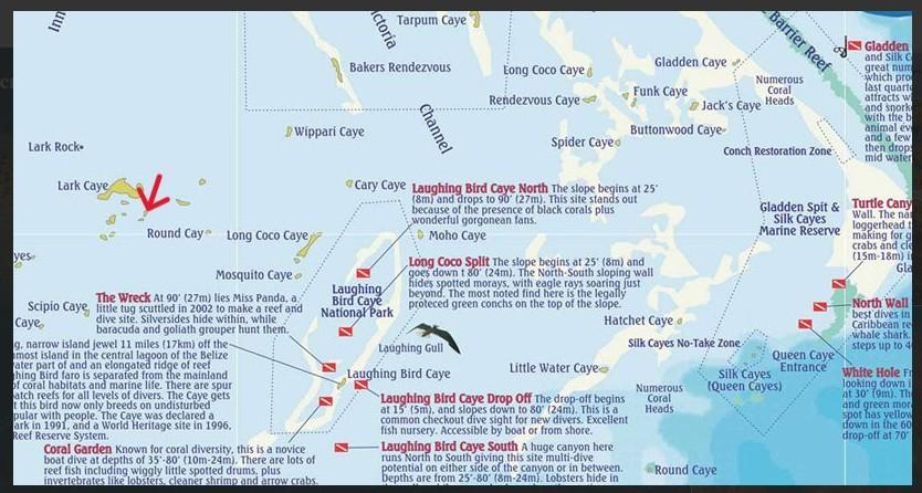 listing image with ID 74050