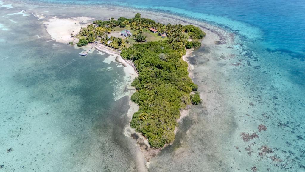 listing image with ID 73645