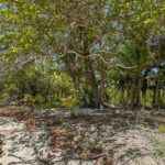 listing image thumbnail with ID 73663