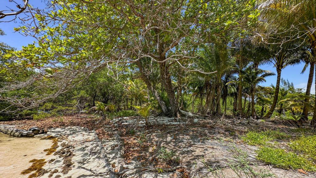 listing image with ID 73663