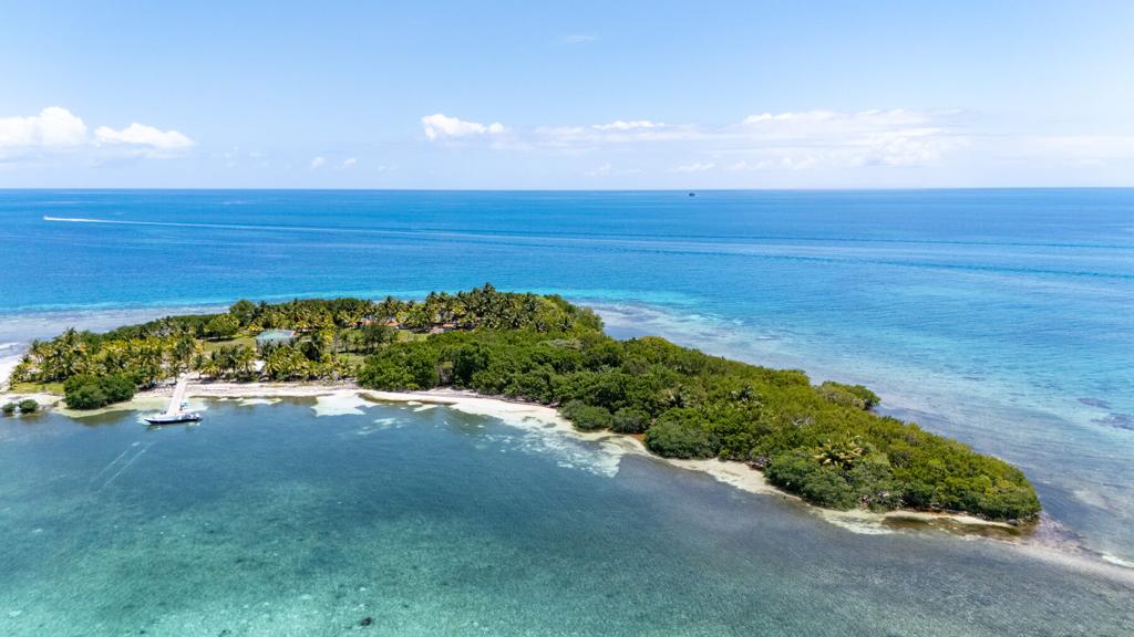 listing image with ID 73639