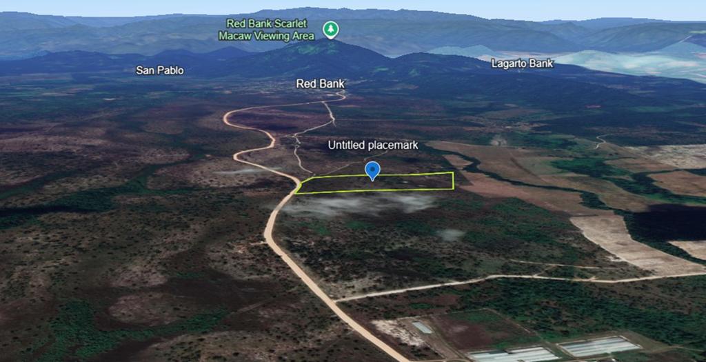 listing image with ID 74061