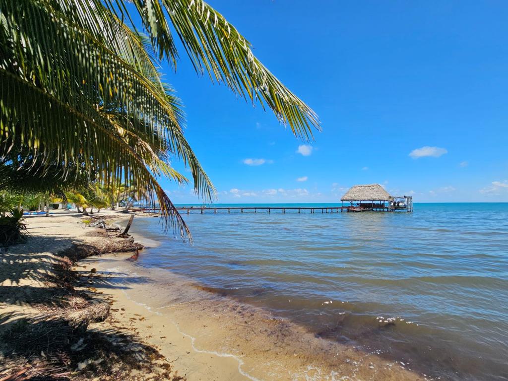 listing image with ID 73569