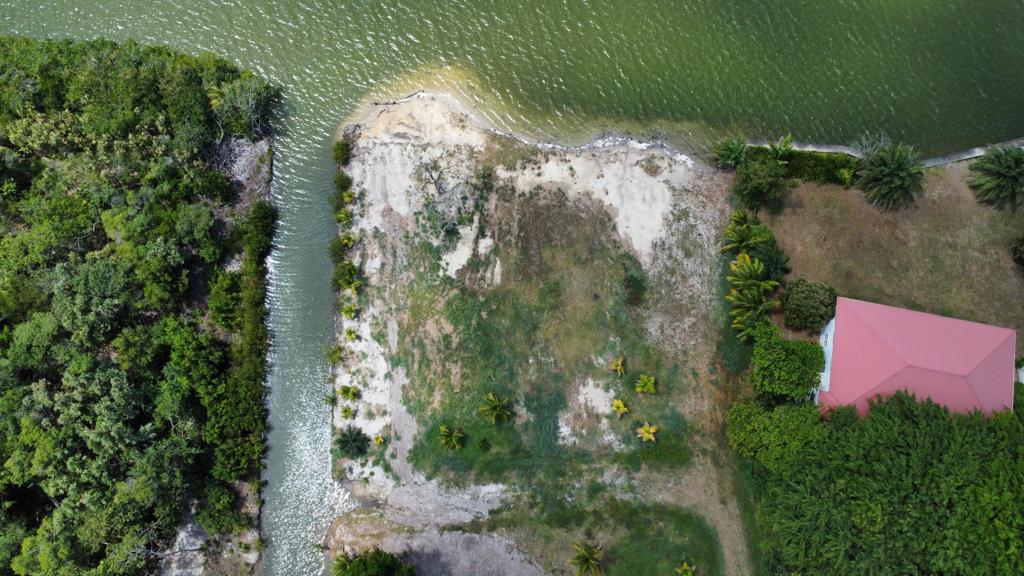 listing image with ID 72835