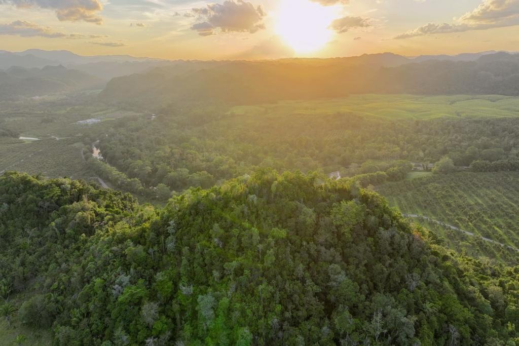 listing image with ID 73821