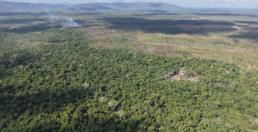 listing image with ID 74066