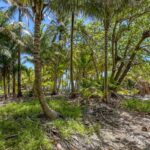 listing image thumbnail with ID 73661