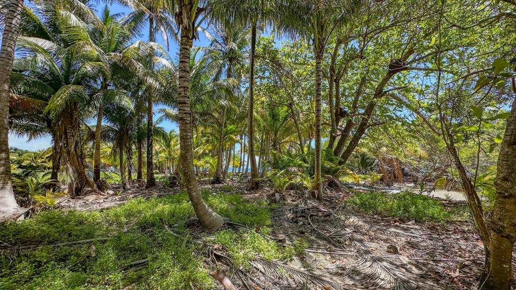 listing image with ID 73661