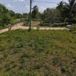 listing image thumbnail with ID 73543