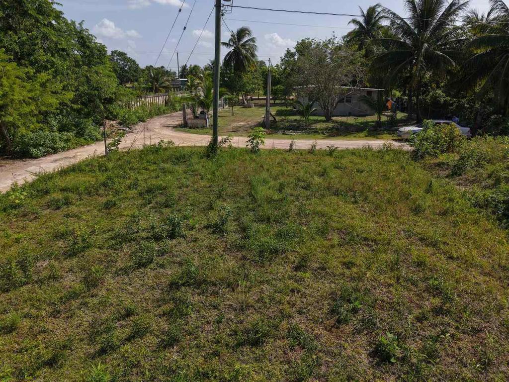 listing image with ID 73543