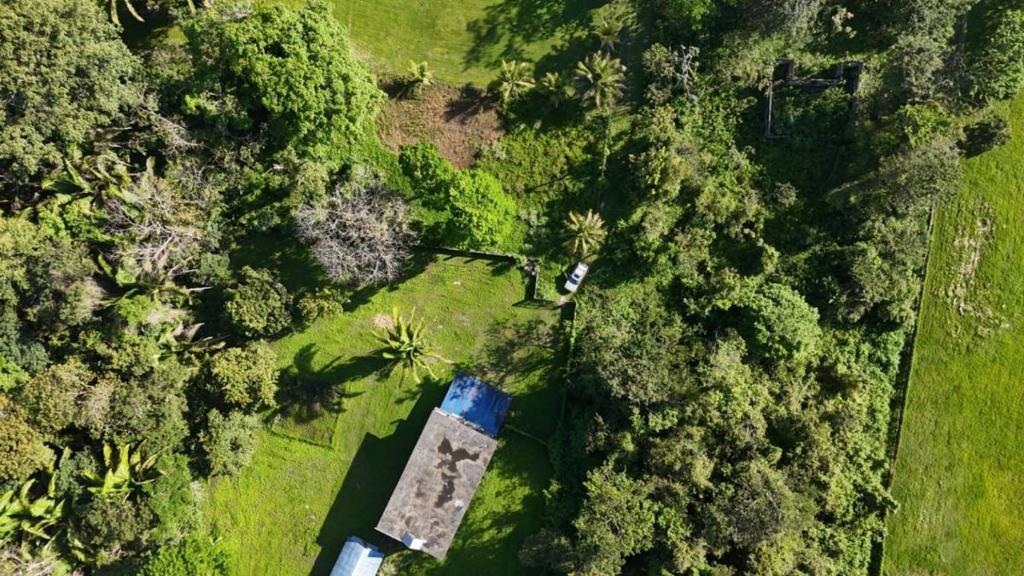 listing image with ID 72964