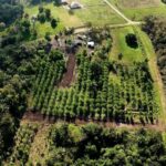 listing image thumbnail with ID 73461