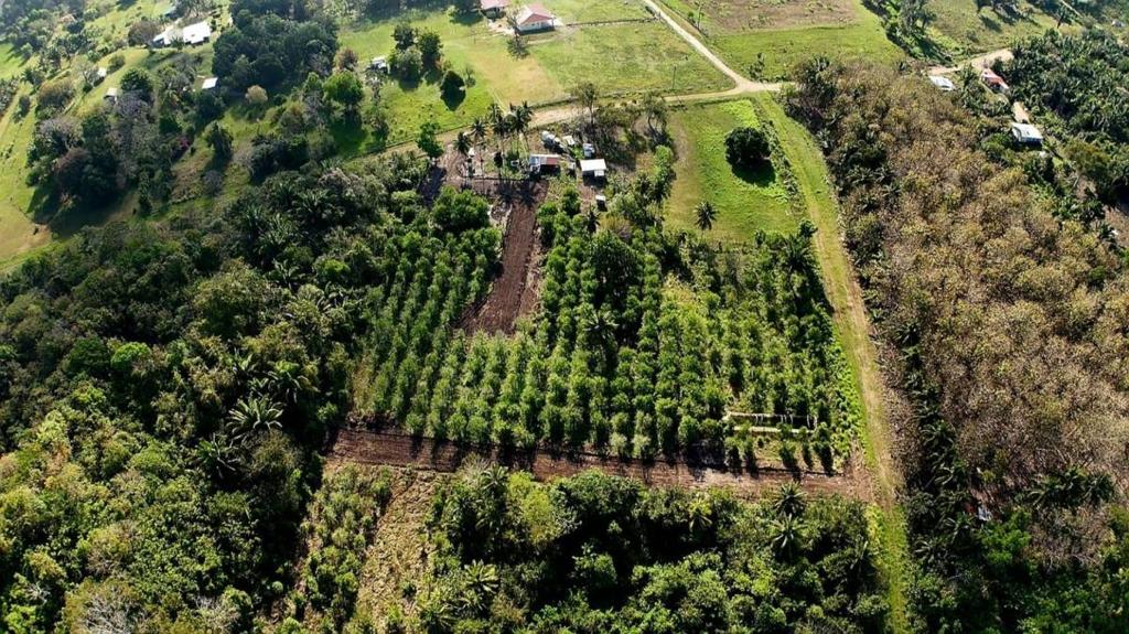 listing image with ID 73461