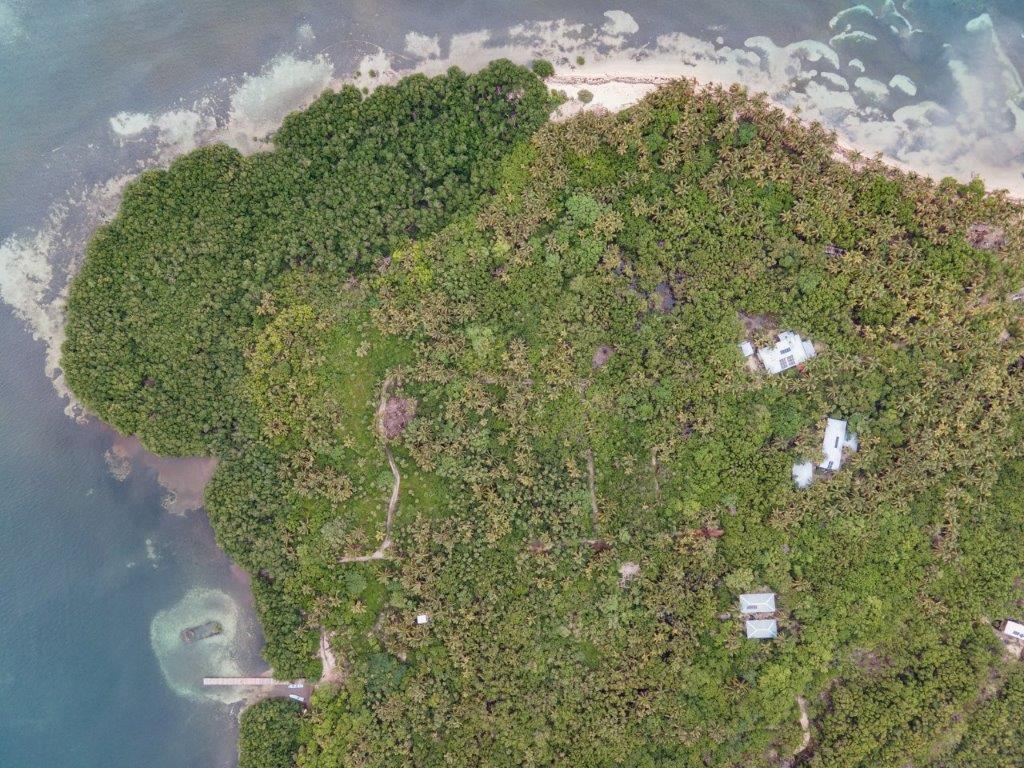 listing image with ID 73304