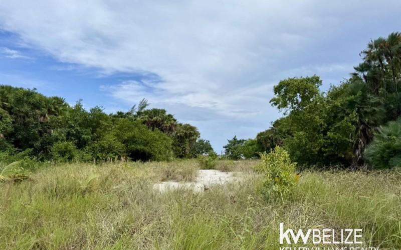 listing image with ID 73079