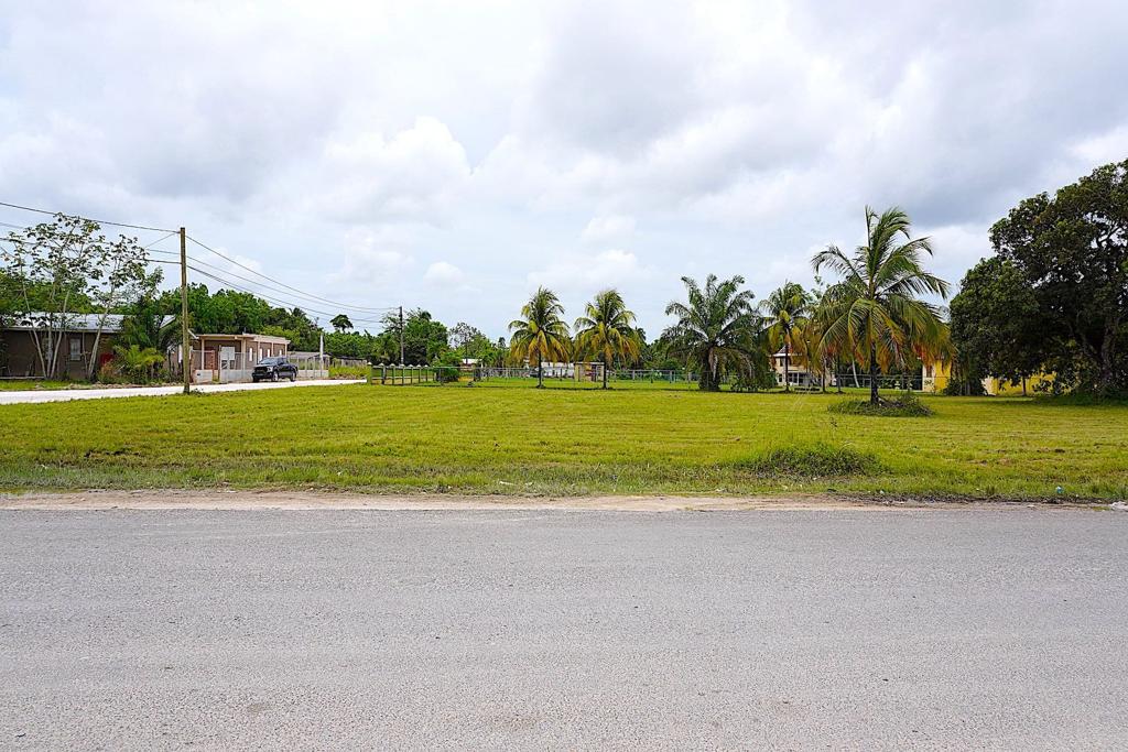 listing image with ID 94204