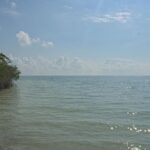 listing image thumbnail with ID 100218