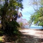 listing image thumbnail with ID 98723