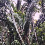 listing image thumbnail with ID 78440