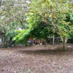 listing image thumbnail with ID 83352
