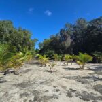 listing image thumbnail with ID 91485