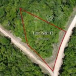 listing image thumbnail with ID 96656