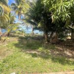 listing image thumbnail with ID 89102