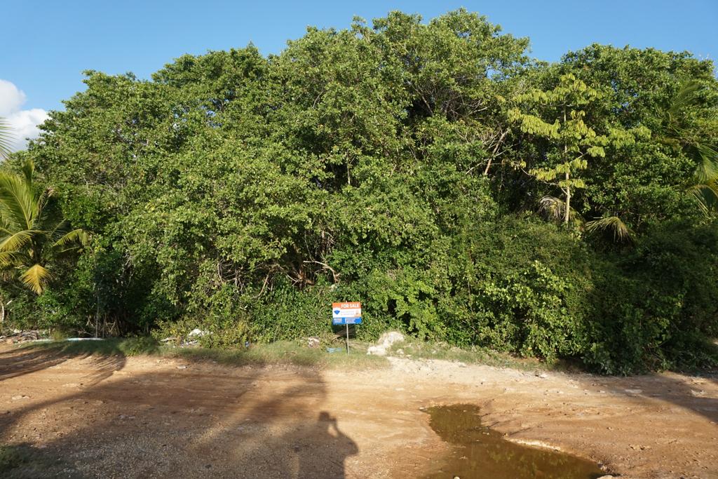 listing image with ID 100954