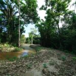 listing image thumbnail with ID 105746