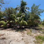 listing image thumbnail with ID 74602