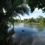 listing image thumbnail with ID 105744