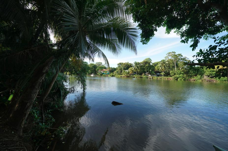 listing image with ID 105744