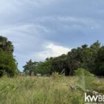 listing image thumbnail with ID 88887