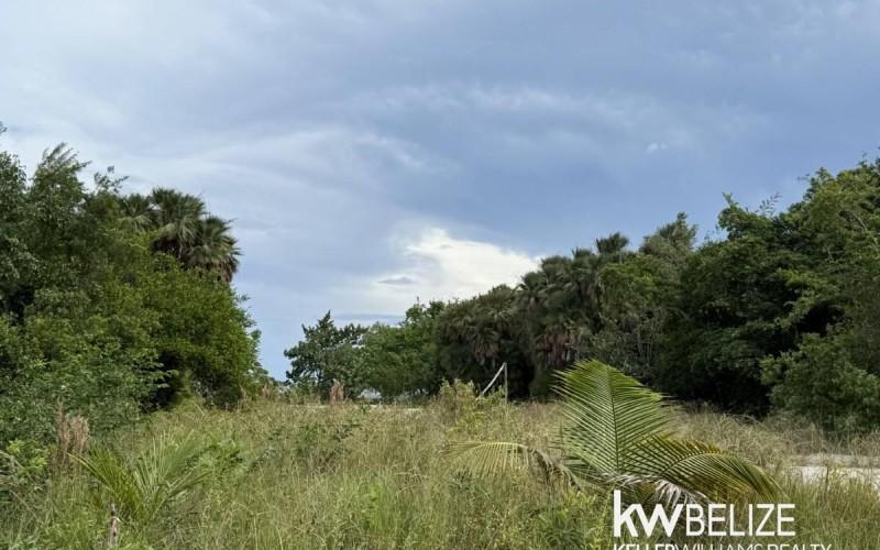 listing image with ID 88887
