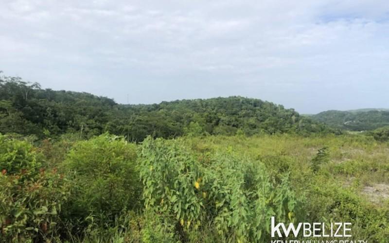 listing image with ID 92659