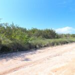 listing image thumbnail with ID 97751