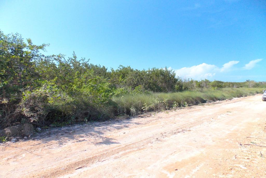 listing image with ID 97751