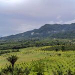 listing image thumbnail with ID 100354