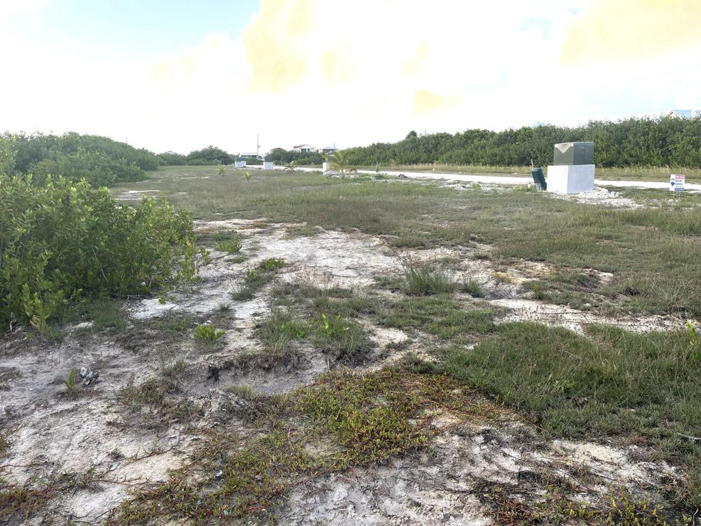 listing image with ID 99499